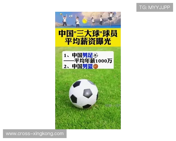 中国足球一线球星年薪揭秘 top球员收入差距巨大薪酬情况深度分析